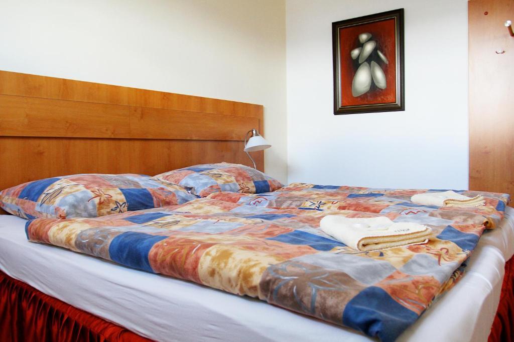 Hotel Slavia 타보르 객실 사진